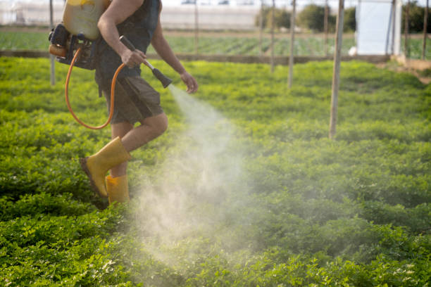 Best Flea Control Services  in Garden Home Whitfd, OR