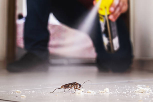 Best Emergency Pest Control  in Garden Home Whitfd, OR